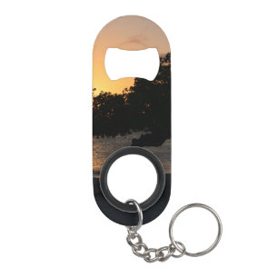 Sunset Divi Divi Tree