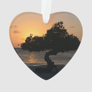 Sunset Divi Divi Tree Ornament