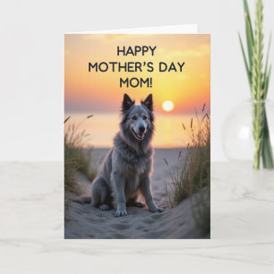 Sunset Dog Affection Card