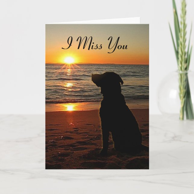Sunset Dog on Beach - Miss You Card (Front)