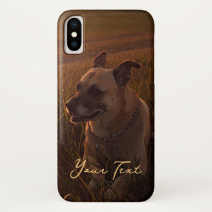 Sunset Dogs Art Photography iPhone X Case