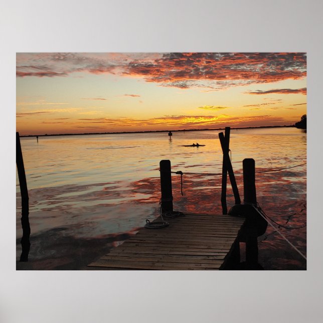 Sunset Dolphins  Poster (Front)