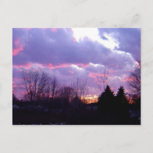 Sunset Dream Postcard