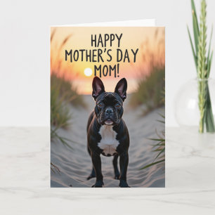 Sunset Dune Path Dog Card