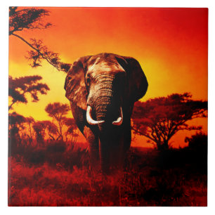Sunset Elephant Ceramic Tile