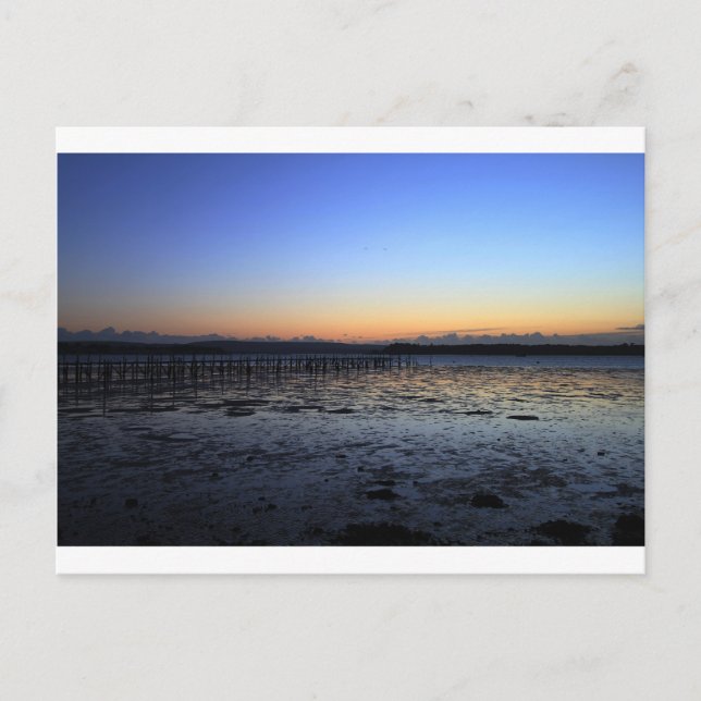 Sunset Evening Hill Postcard (Front)
