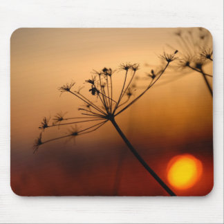 Sunset Field Flowers Mouse Pad