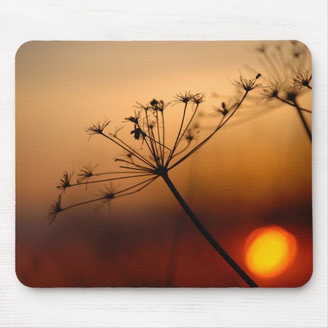 Sunset Field Flowers Mouse Pad (Front)