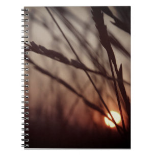 Sunset field Photo Notebook (80 Pages B&W)