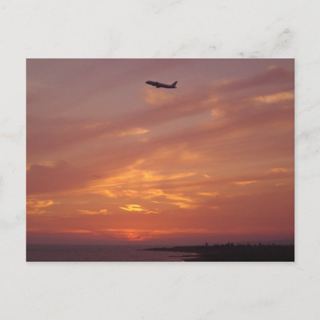 Sunset Flight Postcard (Front)