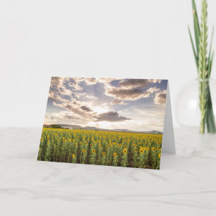 Sunset flowers card