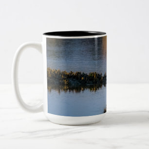 Sunset Gaze 11 oz or 15 oz Mug