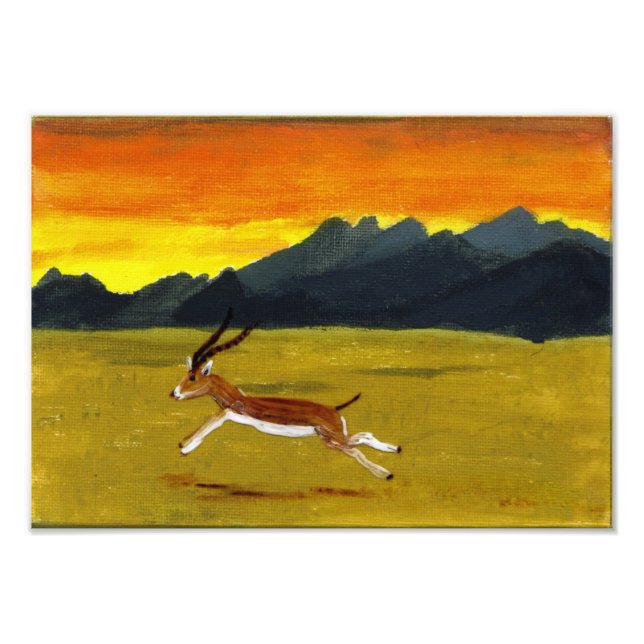 Sunset Gazelle Art Photo Print (Front)