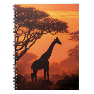 Sunset Giraffe Silhouette Savannah Art Notebook