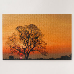 sunset glow jigsaw puzzle