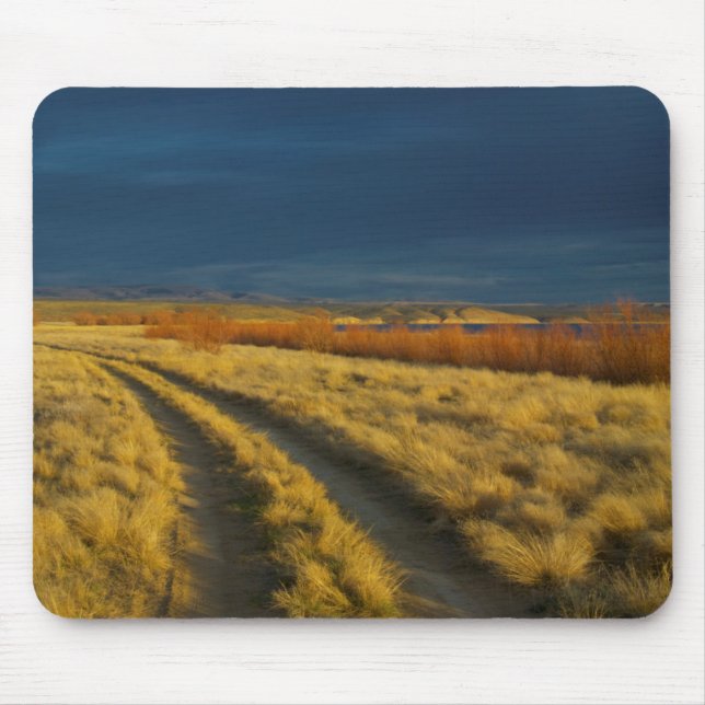 Sunset highlights the red bark of bushes mouse pad (Front)