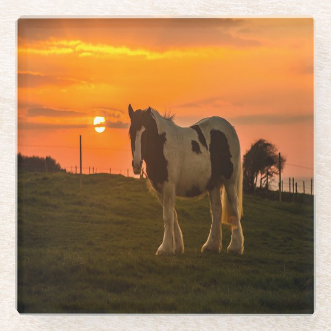 Sunset Horse Glass Coaster (Front)