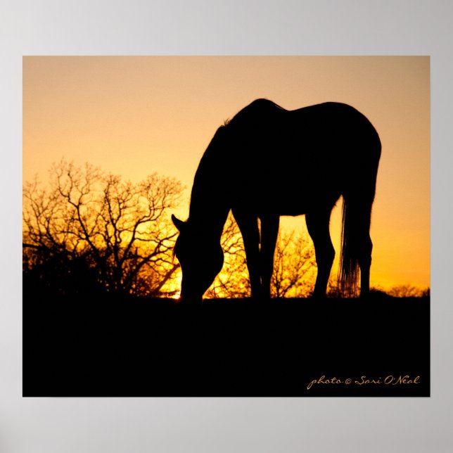 Sunset Horse Silhouette Poster (Front)
