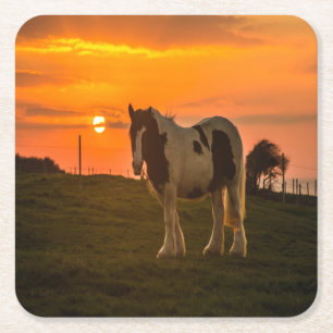 Sunset Horse Square Paper Coaster