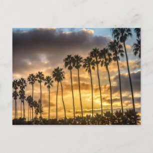 Sunset in California with Palm Trees Postcard