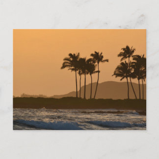 Sunset in Kauai Postcard