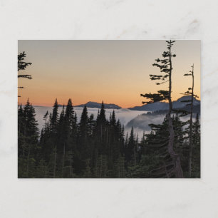 Sunset in Paradise, Mount Rainier National Park Postcard