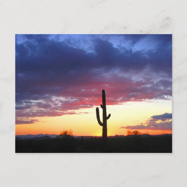 Sunset in phoenix Arizona Postcard (Front)