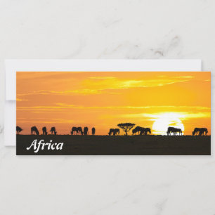 Sunset in Serengeti