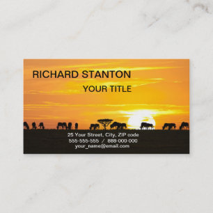 Sunset in Serengeti Business Card