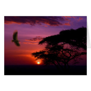 Sunset in Serengeti, Tanzania