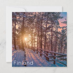 Sunset in snowy pine forest with sun ray