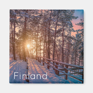 Sunset in snowy pine forest with sun ray magnet