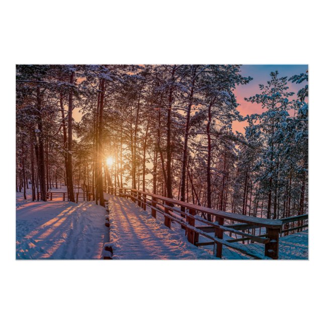 Sunset in snowy pine forest with sun ray poster (Front)