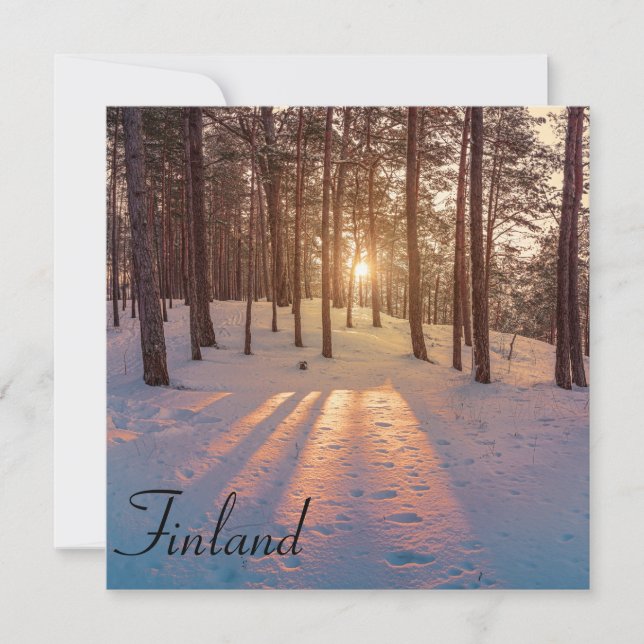 Sunset in snowy winter pine forest (Front)