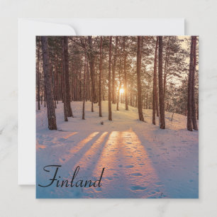 Sunset in snowy winter pine forest