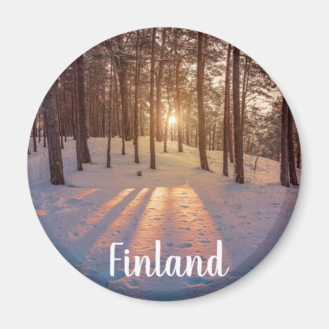 Sunset in snowy winter pine forest magnet (Front)