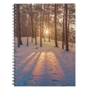 Sunset in snowy winter pine forest notebook