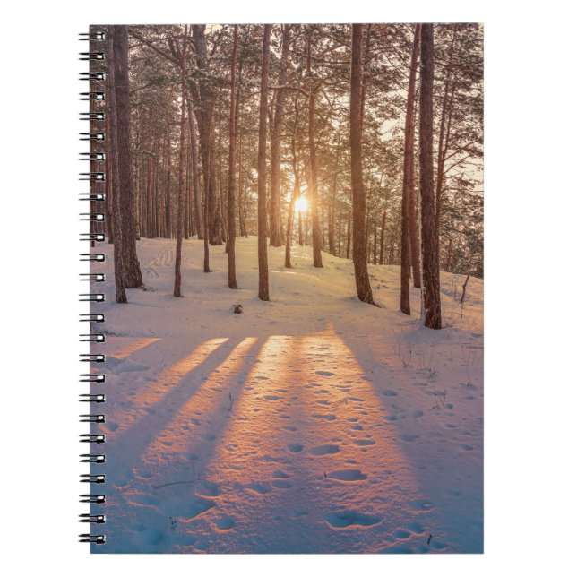 Sunset in snowy winter pine forest notebook (Front)