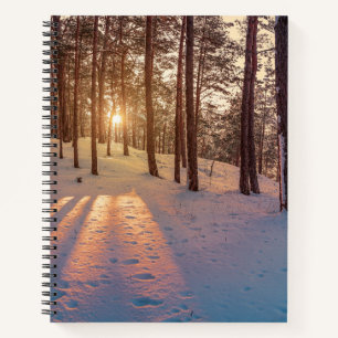 Sunset in snowy winter pine forest notebook