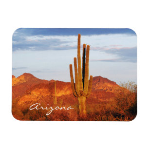 Sunset in the East Valley Arizona Magnet