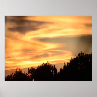 Sunset in the Forest Poster