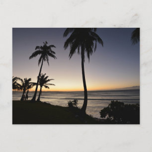 Sunset in the Philippines Postcard