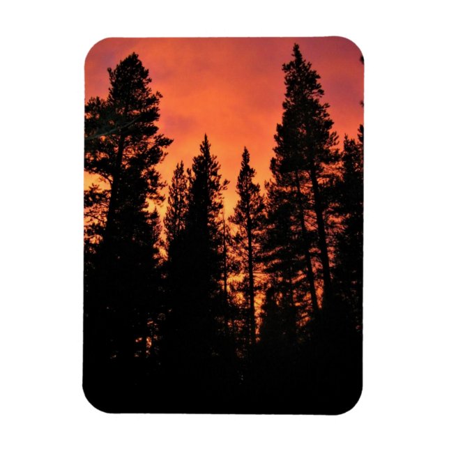 Sunset in Tuolumne Meadows, Yosemite, CA Magnet (Vertical)