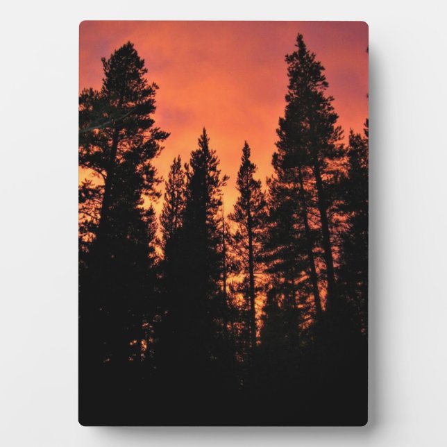 Sunset in Tuolumne Meadows, Yosemite, CA Plaque (Front)