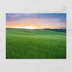 Sunset in Tuscany postcard