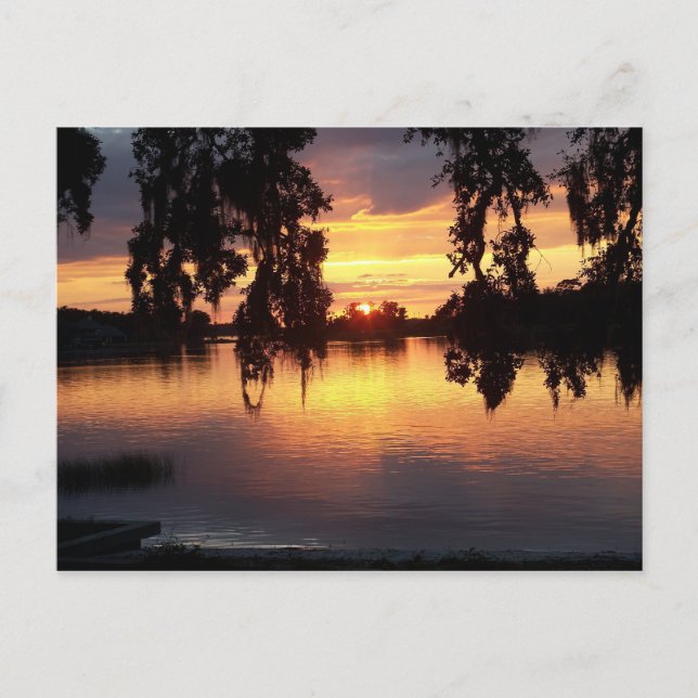 Sunset in WIndermere, Florida postcard (Front)