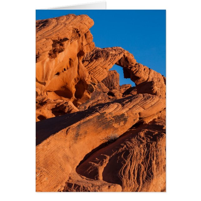 Sunset Inferno (Front)