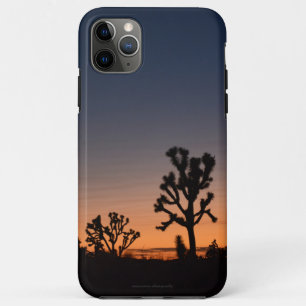 Sunset Joshua Trees iPhone 11 Pro Max Case