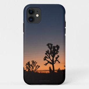 Sunset Joshua Trees iPhone 11 Case