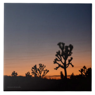 Sunset Joshua Trees Ceramic Tile